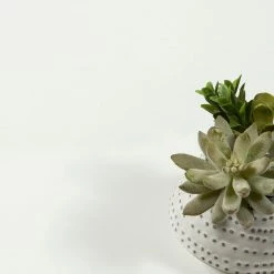 Budget 🔔 Tvilum Lola 4 Cubby Mobile Curtain Storage Unit In White And Natural 🎁 10 Budget 🔔 Tvilum Lola 4 Cubby Mobile Curtain Storage Unit In White And Natural 🎁 -COASTER Shop dc81dcaf094be440 3510 w800 h800 b0 p0